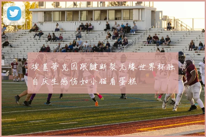 埃基蒂克因跟腱断裂无缘世界杯独自庆生感伤如小猫看蛋糕